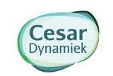 Cesar Dynamiek